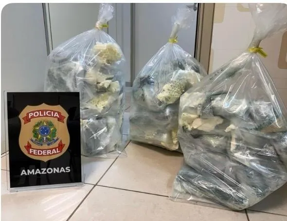 Tentativa de envio de skunk é interceptada no aeroporto de Manaus e termina em prisão